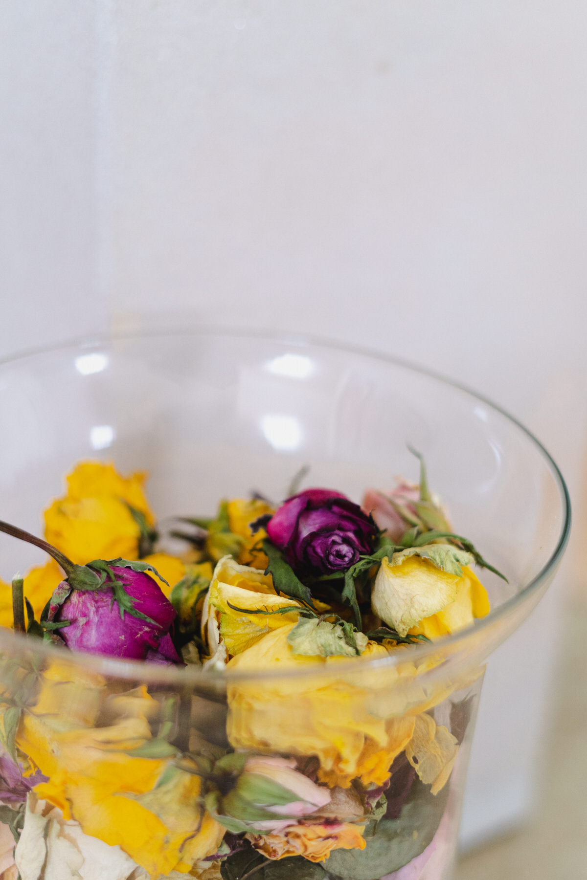 Vertrocknete Rosen in einem Glas